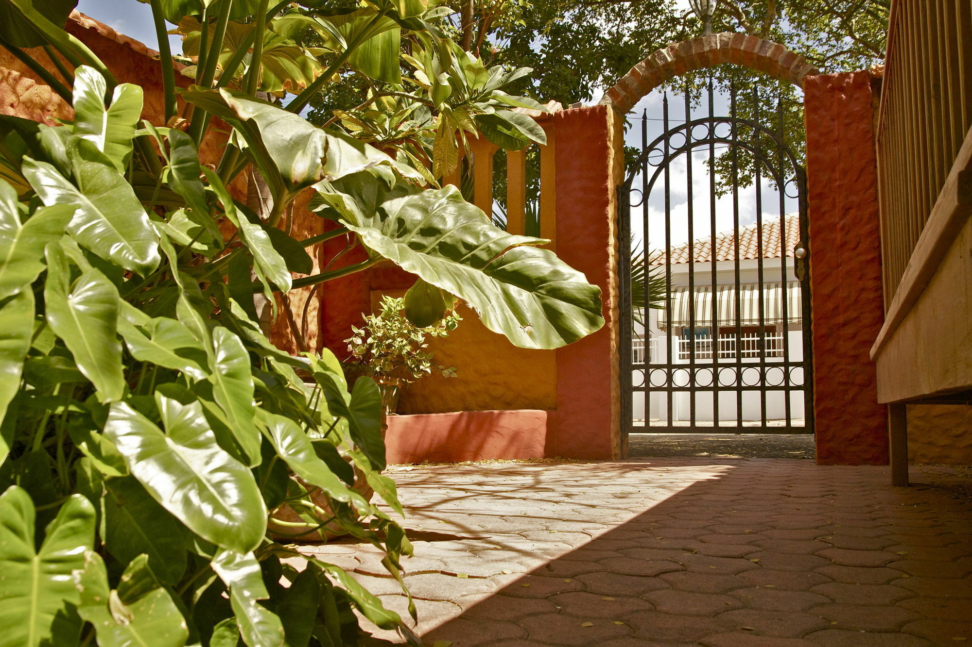 Flamboyant Garden Villas Oranjestad Dış mekan fotoğraf