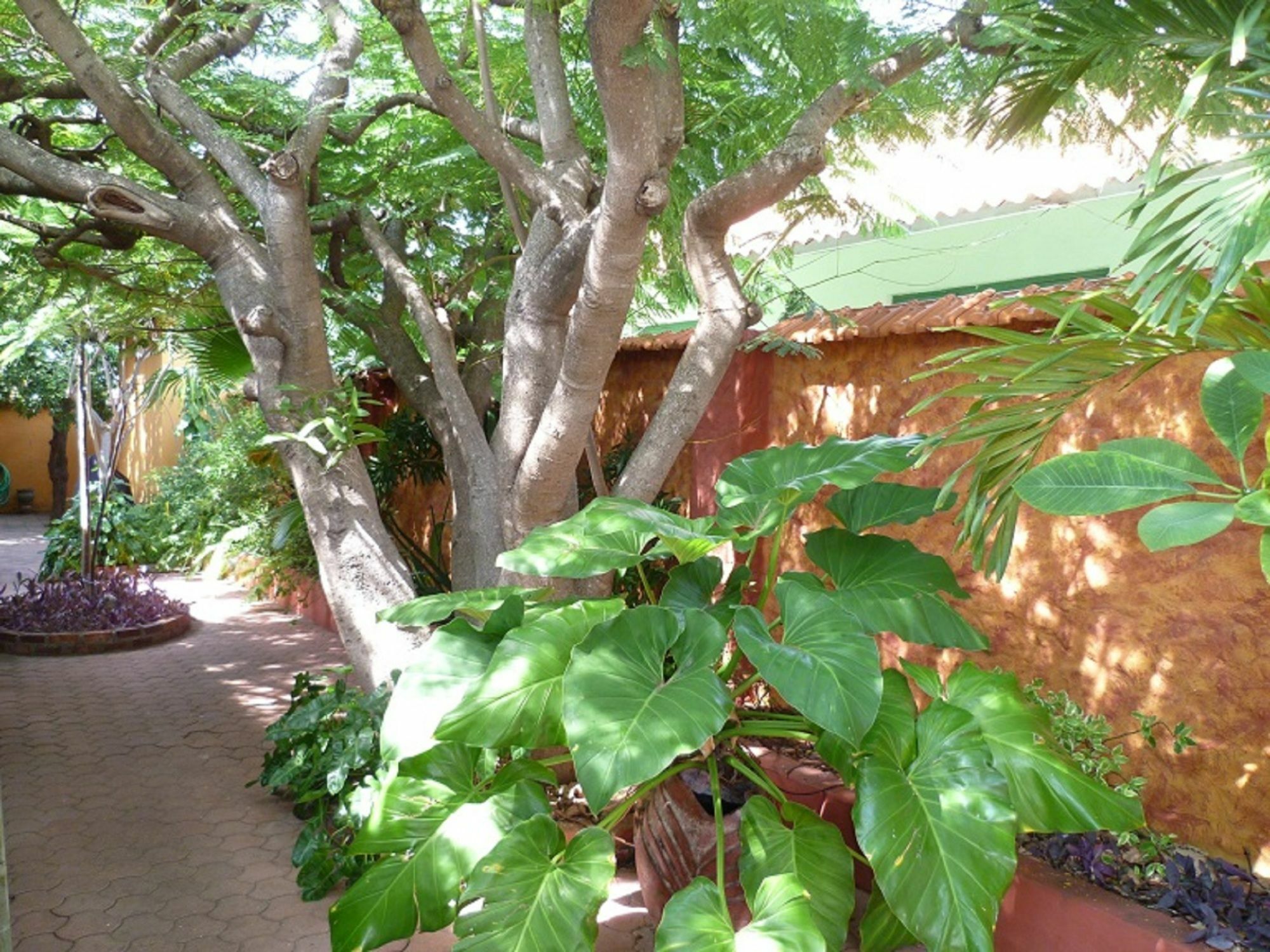 Flamboyant Garden Villas Oranjestad Dış mekan fotoğraf